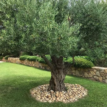 Belle Villa Dans Clos Prive - Saint Raphael Boulouris Villa *