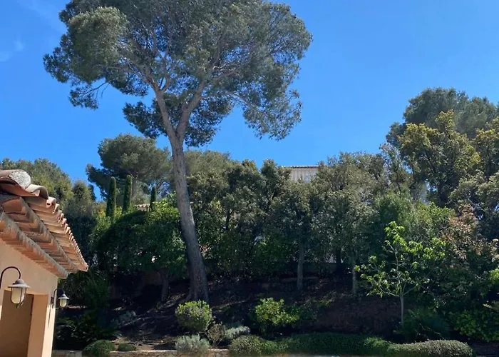 Belle Dans Clos Prive - Raphael Boulouris Saint-Raphaël