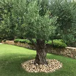 Belle Villa Dans Clos Prive - Saint Raphael Boulouris Villa *