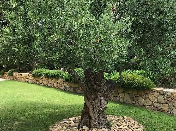 Belle Dans Clos Prive - Raphael Boulouris Villa *